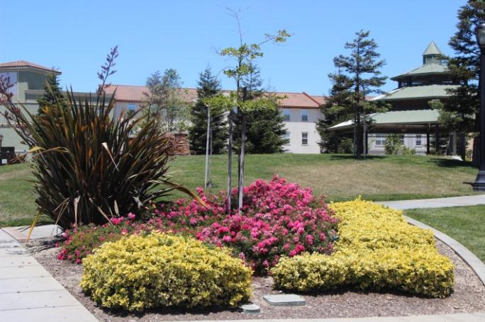 A flower bed filled with pink and yellow flowers.